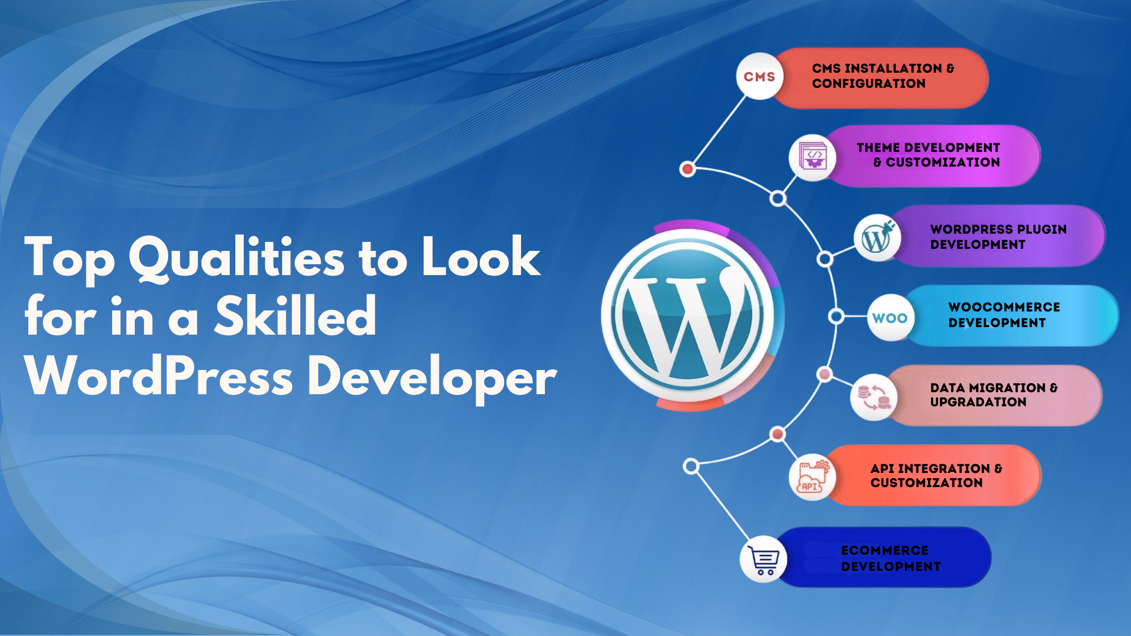 Top Qualities to Look for in a Skilled WordPress Developer
